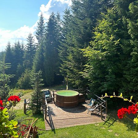 Villa Leśna Bacówka Nowy Targ Exterior foto