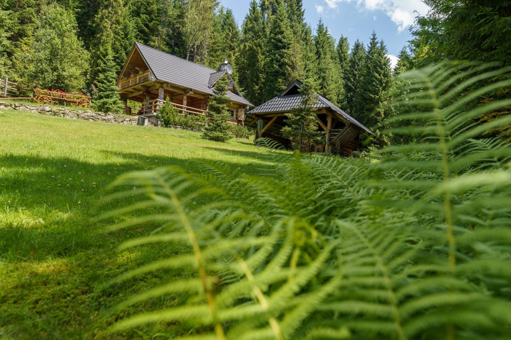 Villa Leśna Bacówka Nowy Targ Exterior foto